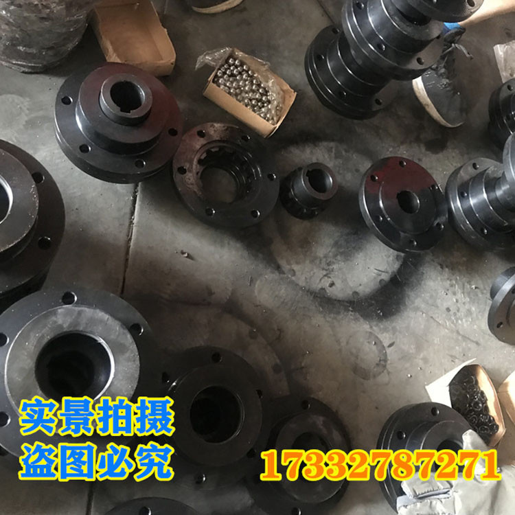 QL型滚珠联轴器 链轮链条联轴器 滚珠联轴器 欢迎致电洽谈