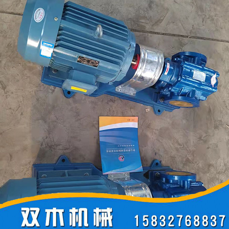 ZYB-200型硬齿面渣油齿轮泵 铸铁工业渣油泵 双木 ZYB型渣油泵 诚信商家