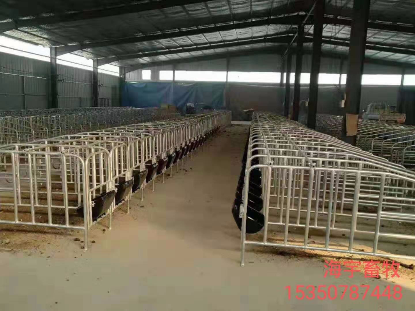 全复合母猪产床   保育床    限位栏生产厂家