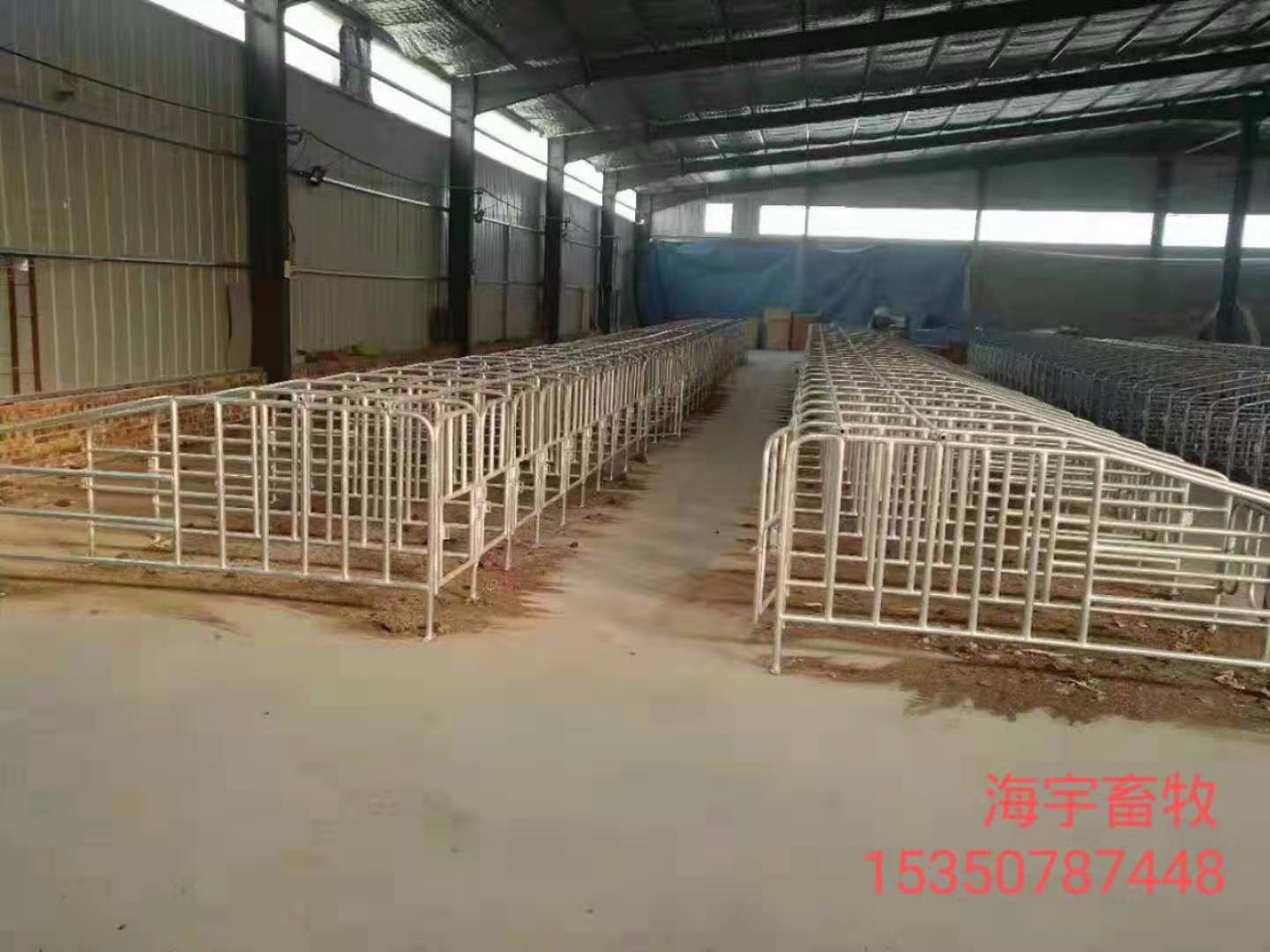 全复合母猪产床   欧式产床    限位栏保育床生产厂家