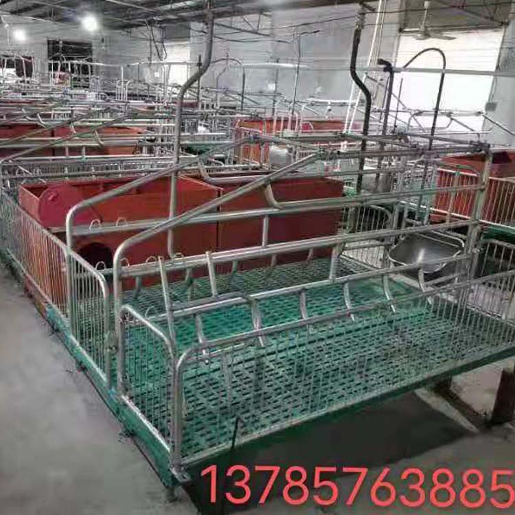 母猪产床 双体复合母猪产床 热镀锌限位栏母猪产床 支持定制