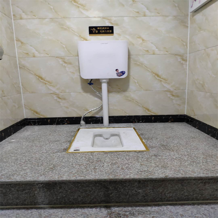 彩钢厕所规格齐全 生物菌种厕所生产供应 户厕厂家