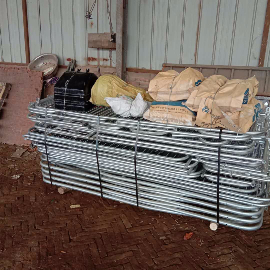欧式产床   全复合母猪产床  保育床 限位栏