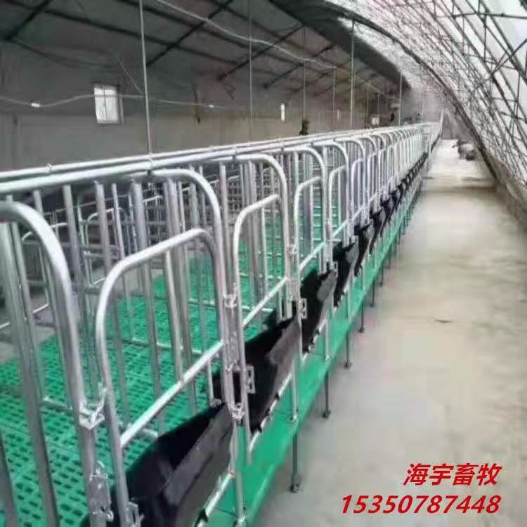 热镀锌全复合母猪产床    欧式产床  保育床  限位栏生产厂家
