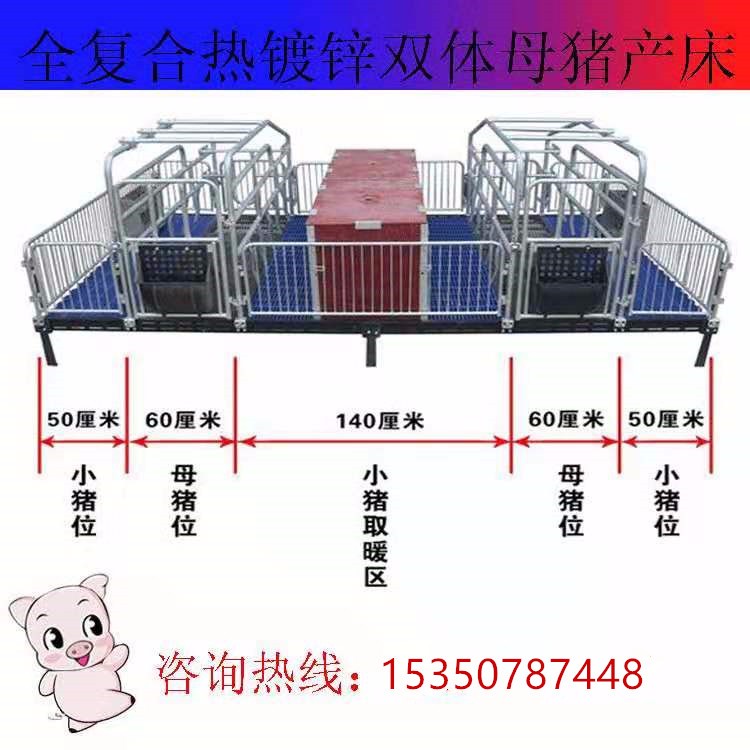 欧式产床   热镀锌母猪产床   保育床  定位栏生产厂家
