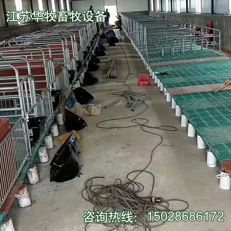 养猪场养殖设备 加厚型单双体母猪产床 全复合养猪设备 欢迎选购