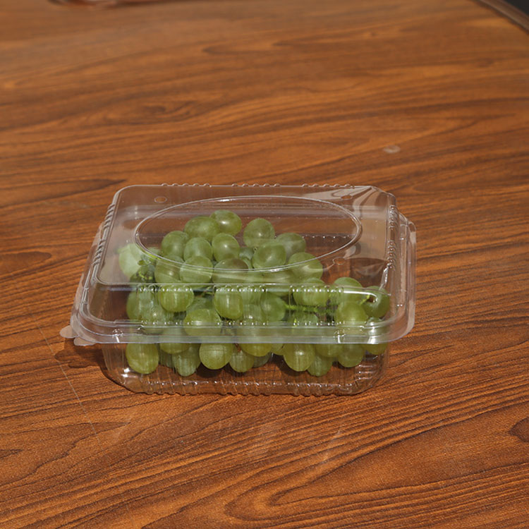 食品包装盒 塑料水果盒包装pvc 水果吸塑包装 生产销售