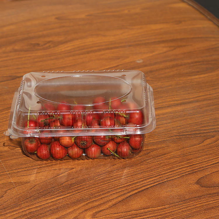 一次性透明塑料吸塑 水果盒包装 水果包装盒 生产销售