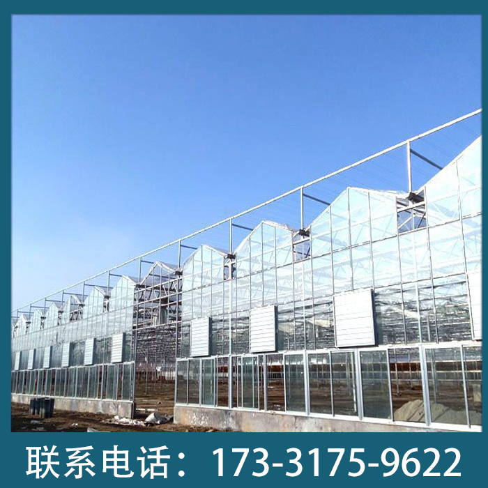 新型农业智能温室生态餐厅大棚骨架玻璃大棚定制 玻璃温室大棚