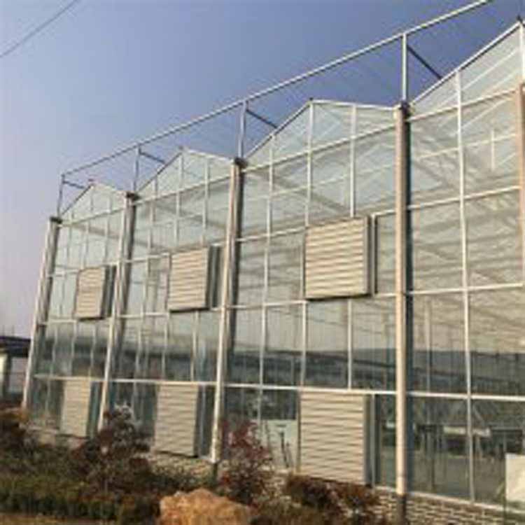 厂家定制 日光智能玻璃温室 玻璃温室材料 大棚日光温室 服务贴心