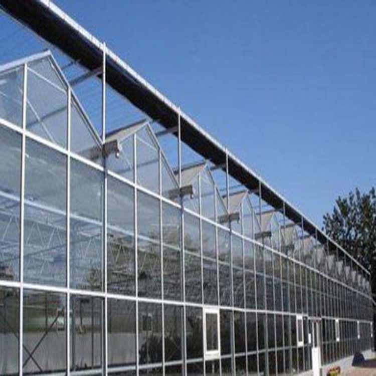 厂家生产 智能温室玻璃 日光智能玻璃温室 生态玻璃温室 价格优惠