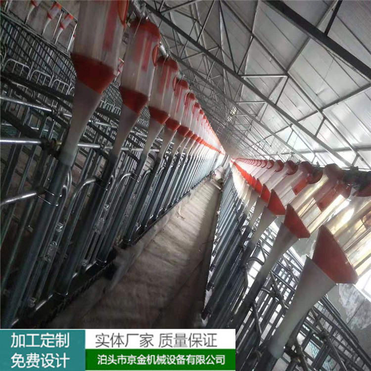 每天按量喂猪料线 定位栏料线