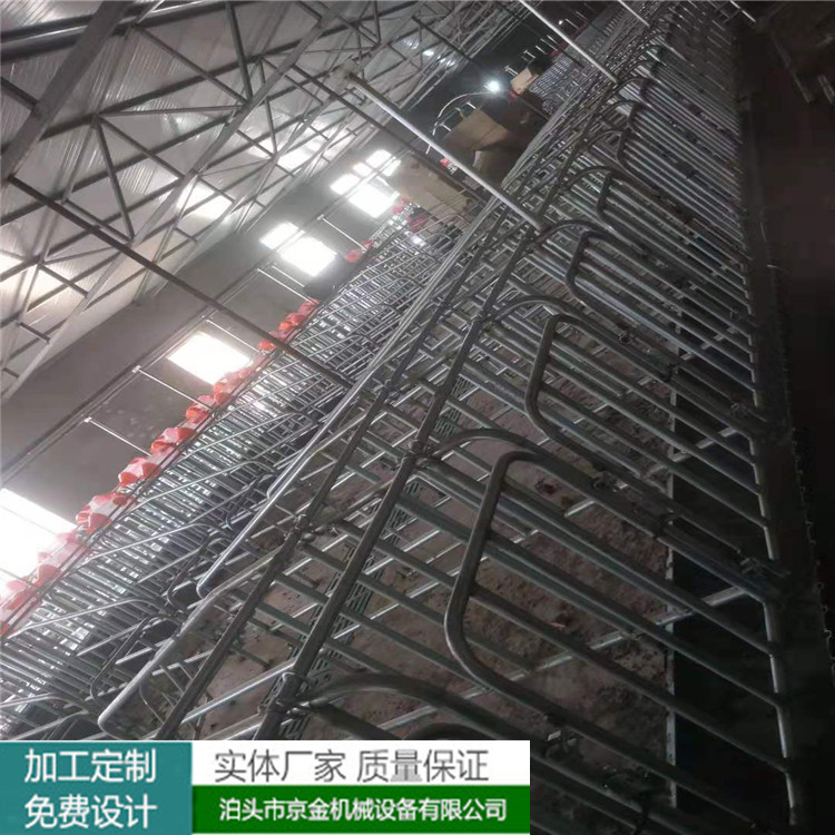 轻松喂猪管道输送料线 一键喂猪设备厂家