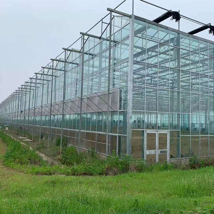 新野温室玻璃大棚