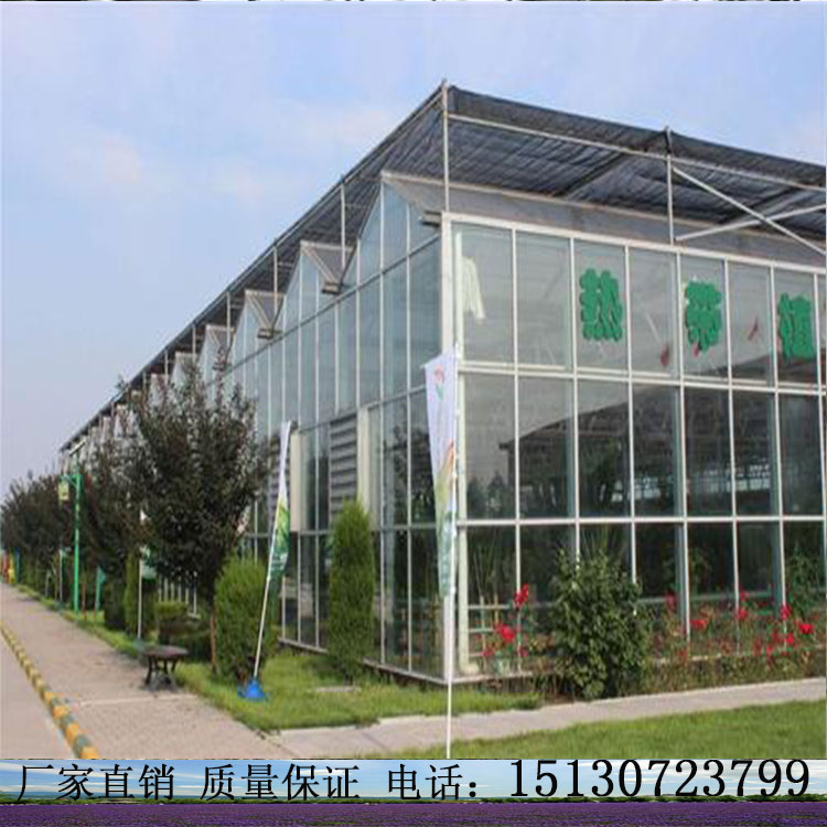 玻璃智能温室 连栋智能温室公司