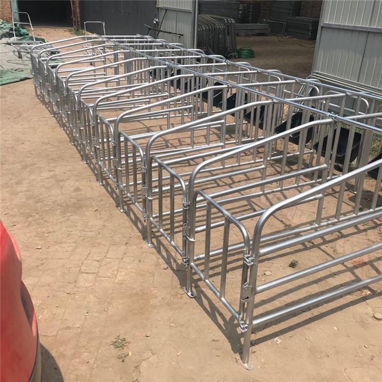 河北厂家直供养猪设备 现货直供漏粪板 母猪用限位栏定位栏 养猪场设备