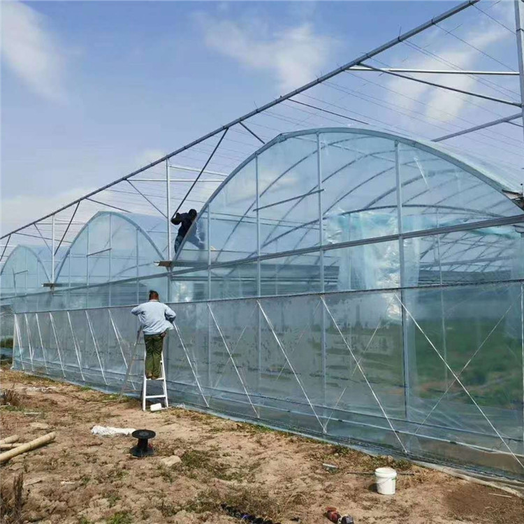 定制 批发 养殖大棚建设 绿植大棚 连栋温室大棚建设