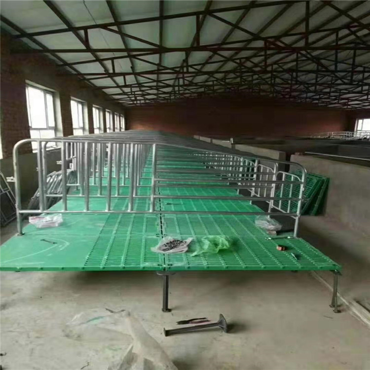 河北厂家供应养猪设备 双体保育床带塑料漏粪板 养殖场猪用设备