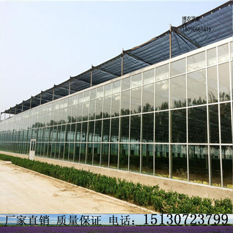 玻璃连栋温室建造 北方智能温室承建商 贴心为您服务