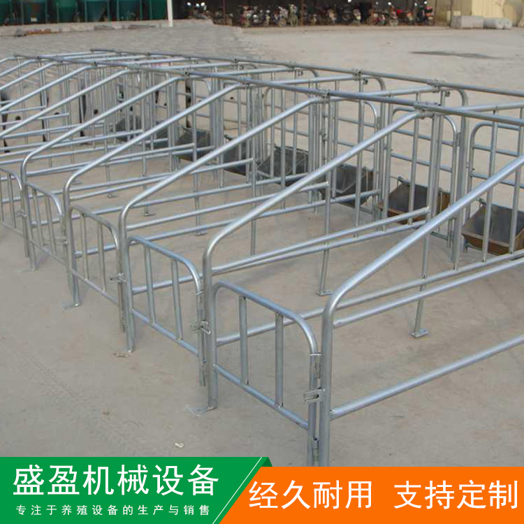 母猪定位栏 养殖猪用限位栏 单体双体产床分娩床养猪设备限位定位栏 量大从优