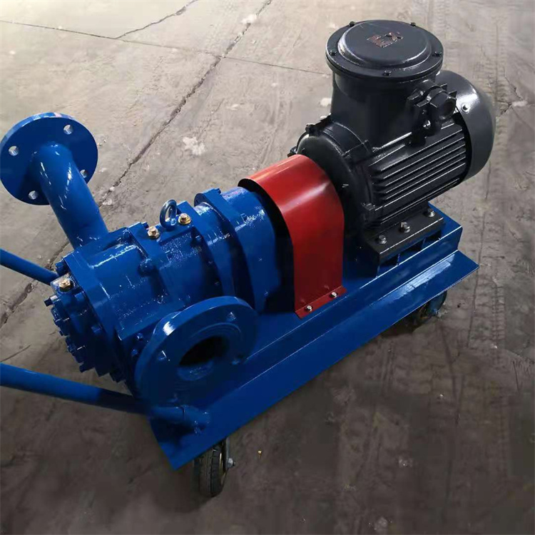凸轮泵 不锈钢转子泵 转子泵 欢迎订购 不锈钢凸轮转子泵 产地供应